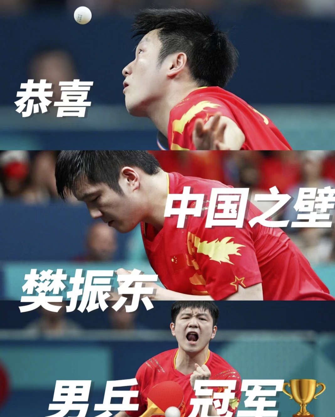 瑞典队完胜中国队，樊振东点燃赛场